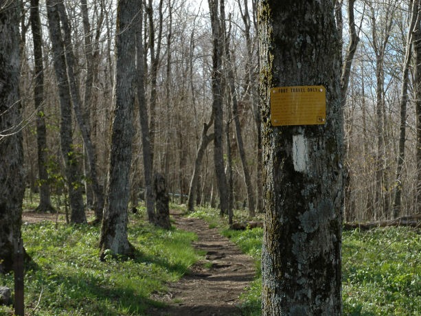 Appalachian Trail