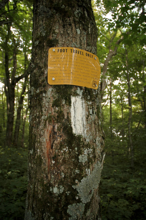 Hiking the Appalachian Trail