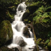 Waterfall near the Va Creeper Trail