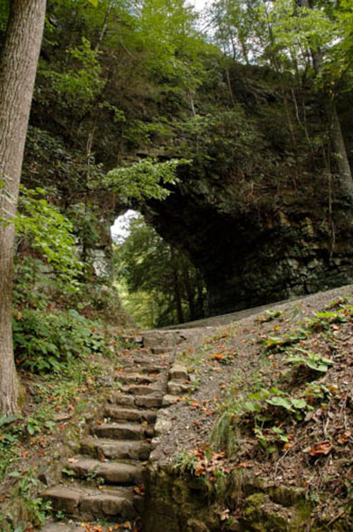 Backbone Rock, TN