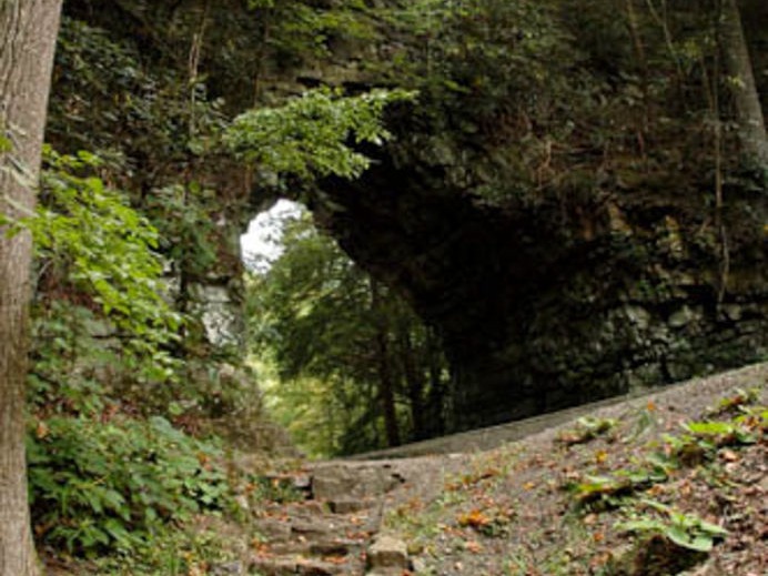 Backbone Rock, TN