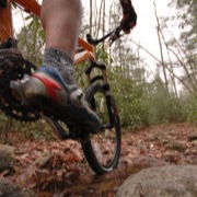 Biking the Va Creeper Trail